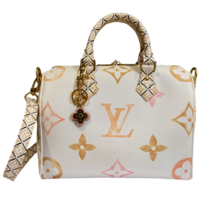 LOUIS VUITTON Pre-Owned Speedy 25 By The Pool Mini Boston Bag – White Multicolor